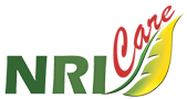 NRI SERVICE